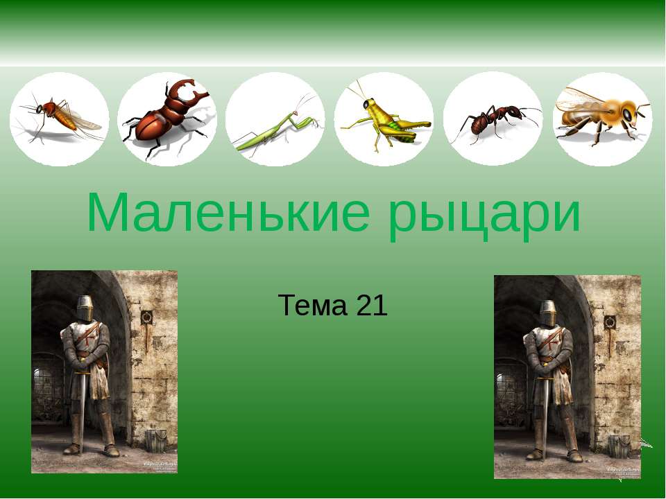 Маленькие рыцари Учебники, Презентации и Подготовка к Экзаменам для Школьников на Klass-Uchebnik.com