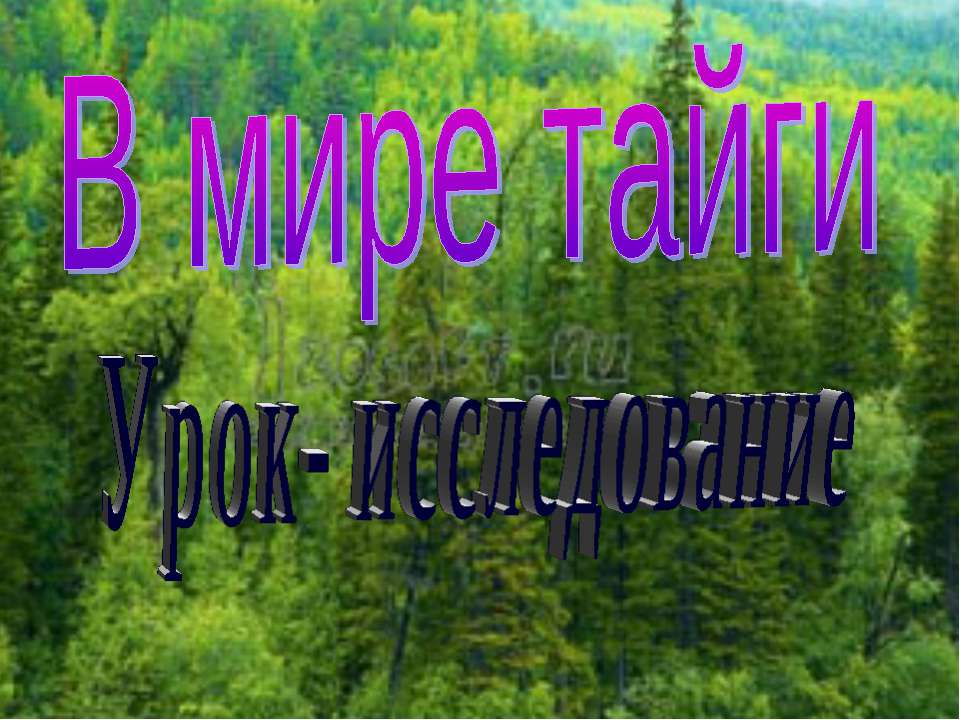 В мире тайги - Учебники, Презентации и Подготовка к Экзаменам для Школьников на Klass-Uchebnik.com