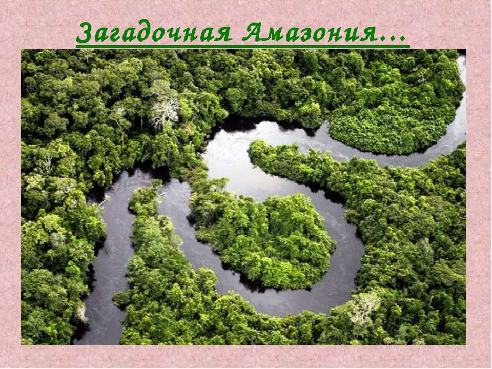 Загадочная Амазония - Учебники, Презентации и Подготовка к Экзаменам для Школьников на Klass-Uchebnik.com