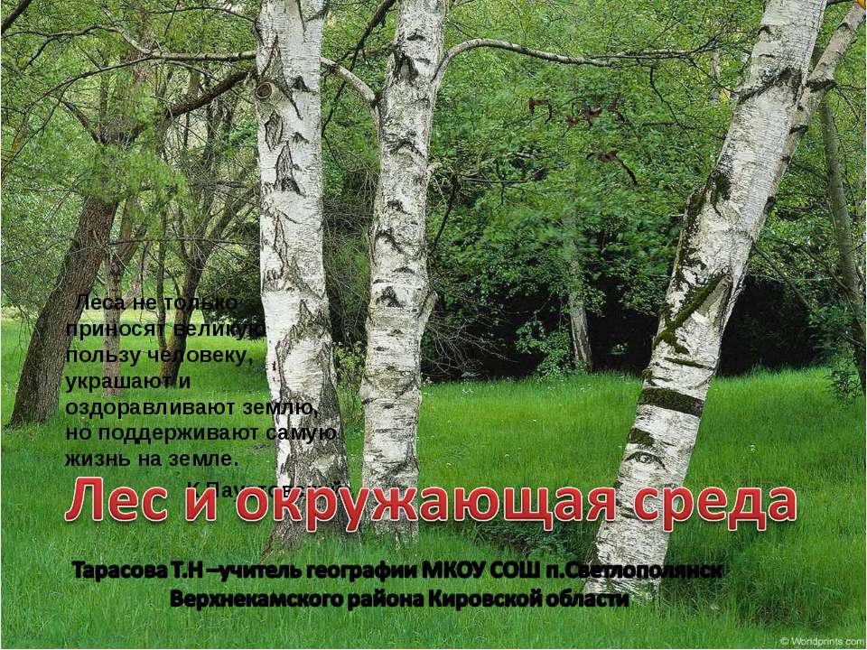 Лес и окружающая среда Учебники, Презентации и Подготовка к Экзаменам для Школьников на Klass-Uchebnik.com