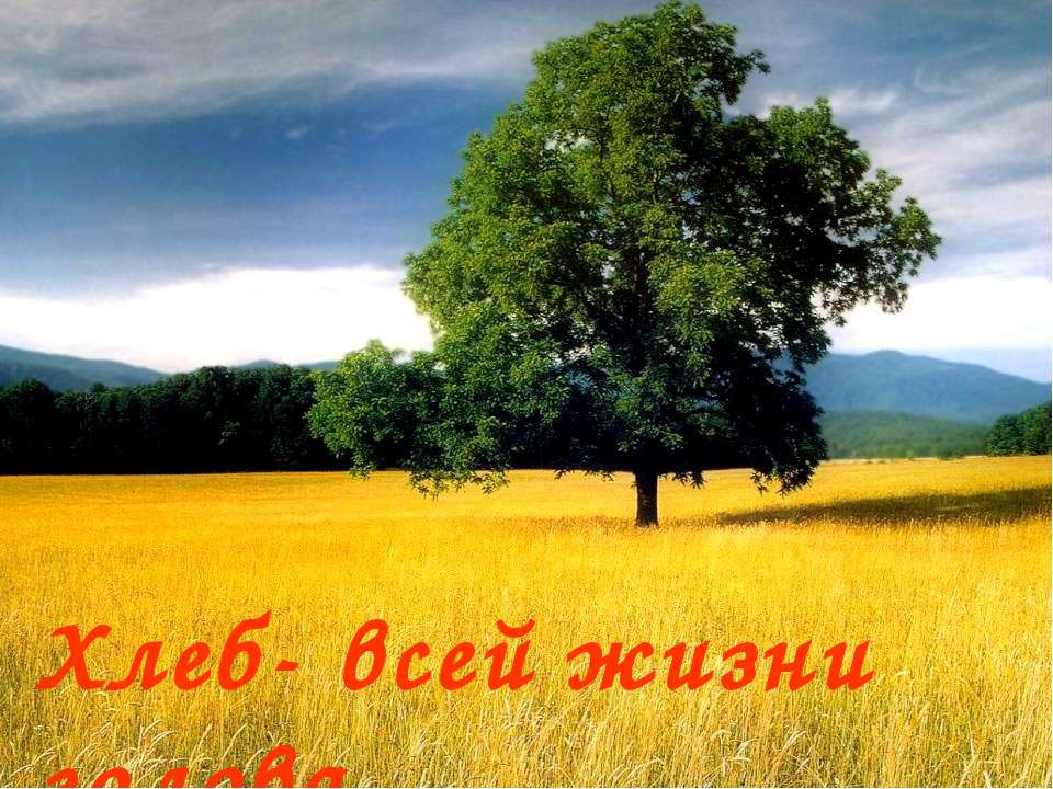 Хлеб- всей жизни голова - Учебники, Презентации и Подготовка к Экзаменам для Школьников на Klass-Uchebnik.com