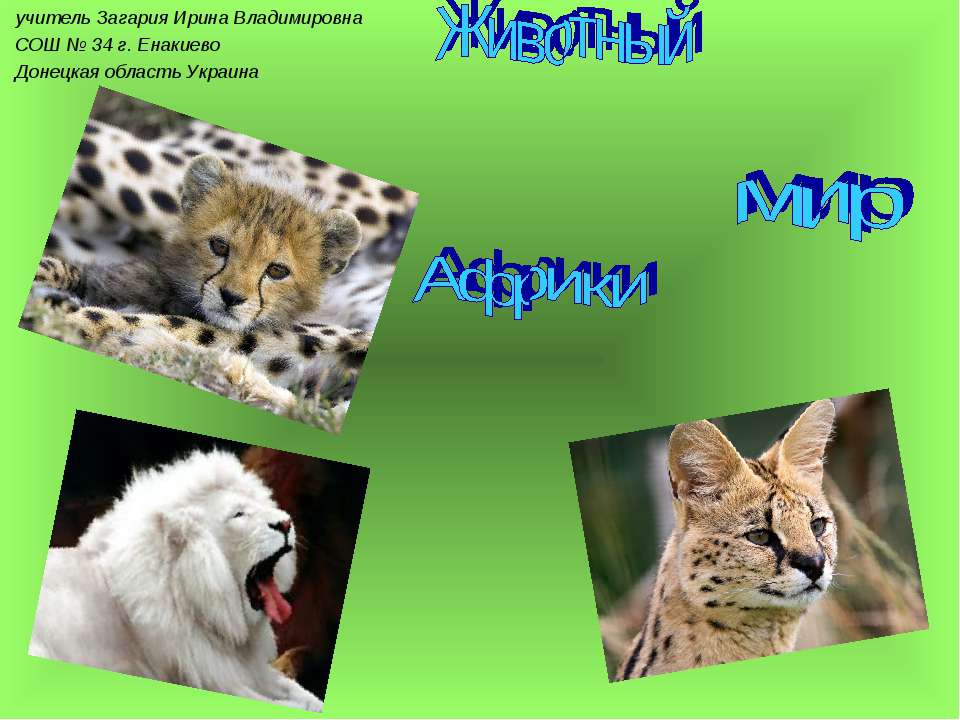 Животный мир Африки - Учебники, Презентации и Подготовка к Экзаменам для Школьников на Klass-Uchebnik.com