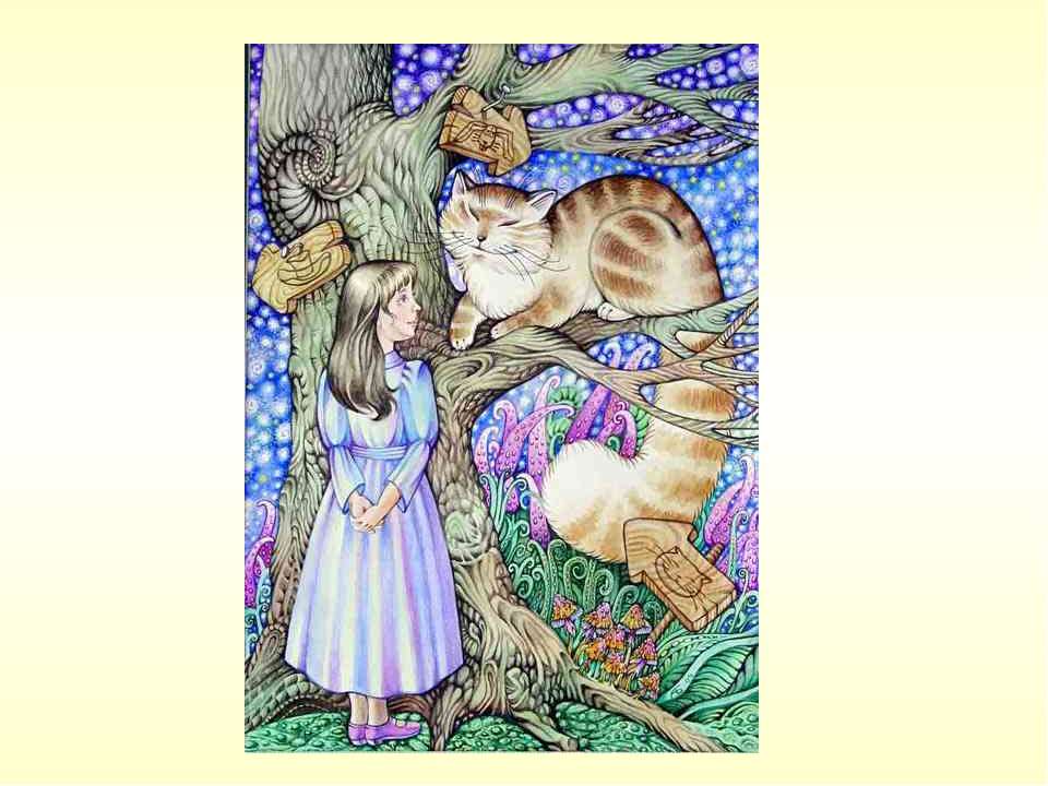 Область определения функции Учебники, Презентации и Подготовка к Экзаменам для Школьников на Klass-Uchebnik.com