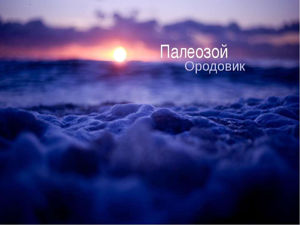 Палеозой. Ордовик Учебники, Презентации и Подготовка к Экзаменам для Школьников на Klass-Uchebnik.com