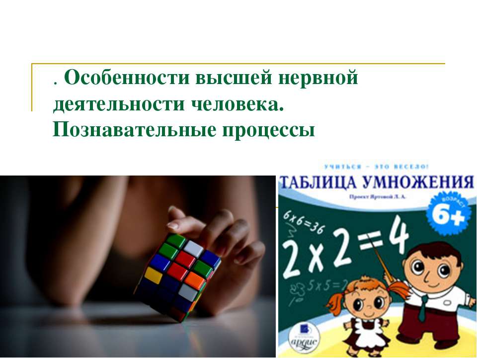 Особенности высшей нервной деятельности человека. Познавательные процессы - Учебники, Презентации и Подготовка к Экзаменам для Школьников на Klass-Uchebnik.com