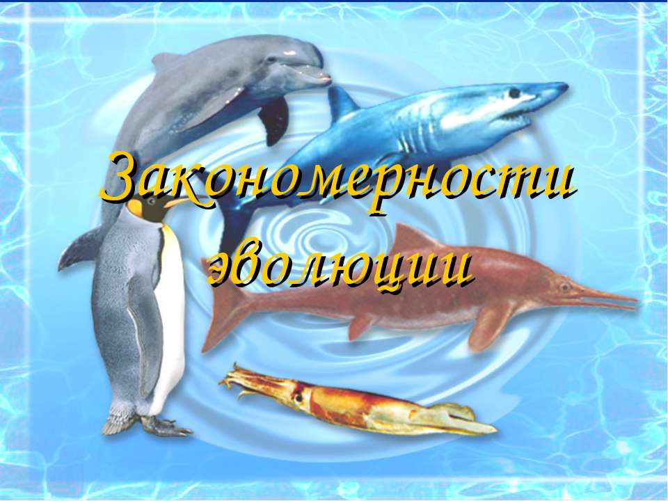 Закономерности эволюции Учебники, Презентации и Подготовка к Экзаменам для Школьников на Klass-Uchebnik.com