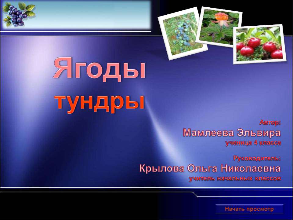 Ягоды тундры Учебники, Презентации и Подготовка к Экзаменам для Школьников на Klass-Uchebnik.com
