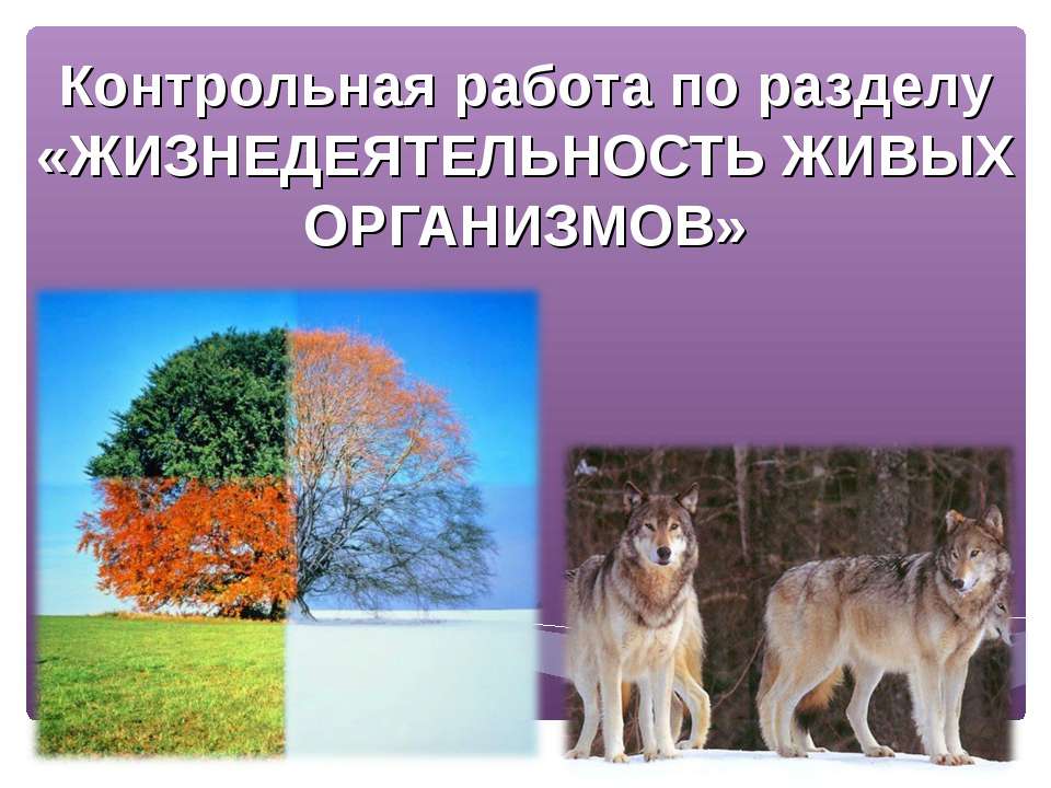 Жизнедеятельность живых организмов Учебники, Презентации и Подготовка к Экзаменам для Школьников на Klass-Uchebnik.com