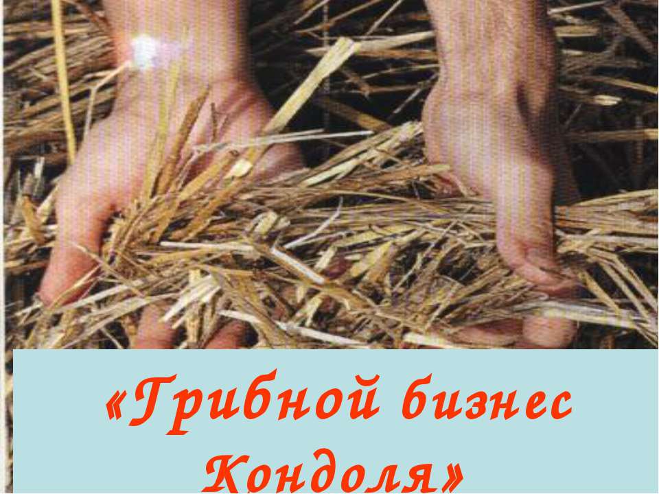 Грибной бизнес Кондоля Учебники, Презентации и Подготовка к Экзаменам для Школьников на Klass-Uchebnik.com