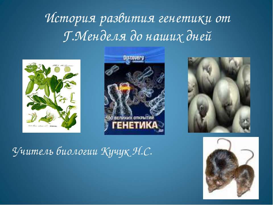 История развития генетики от Г.Менделя до наших дней - Учебники, Презентации и Подготовка к Экзаменам для Школьников на Klass-Uchebnik.com