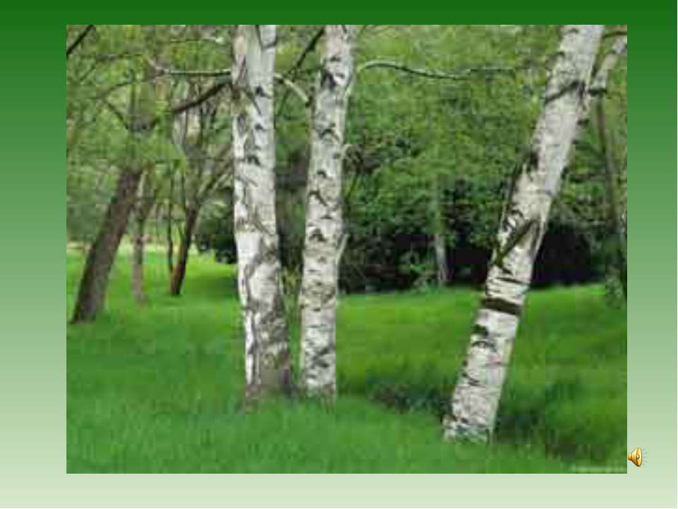 С лукошком за грибами Учебники, Презентации и Подготовка к Экзаменам для Школьников на Klass-Uchebnik.com