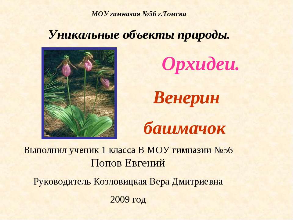 Орхидеи. Венерин башмачок Учебники, Презентации и Подготовка к Экзаменам для Школьников на Klass-Uchebnik.com