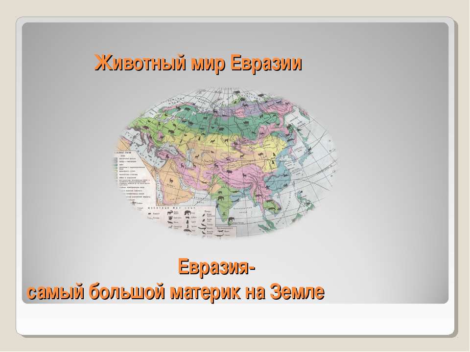 Животный мир Евразии. Евразия-самый большой материк на Земле - Учебники, Презентации и Подготовка к Экзаменам для Школьников на Klass-Uchebnik.com
