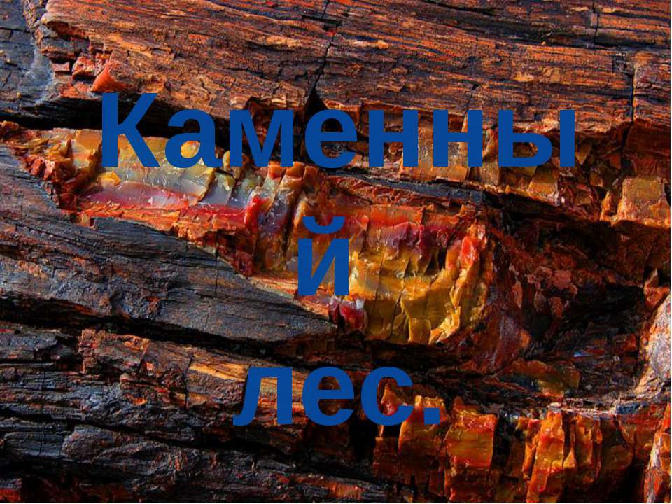 Каменный лес Учебники, Презентации и Подготовка к Экзаменам для Школьников на Klass-Uchebnik.com