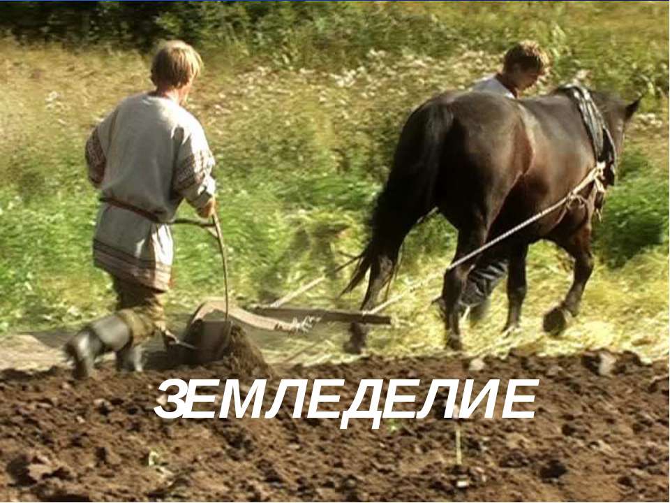 Земледелие Учебники, Презентации и Подготовка к Экзаменам для Школьников на Klass-Uchebnik.com