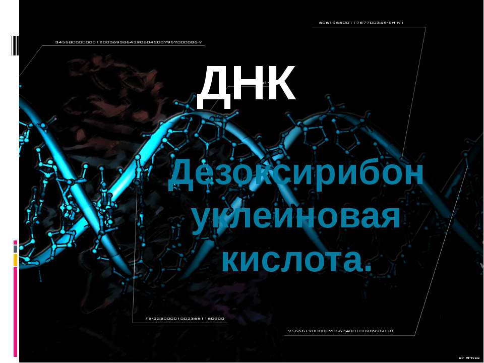 Дезоксирибонуклеиновая кислота Учебники, Презентации и Подготовка к Экзаменам для Школьников на Klass-Uchebnik.com
