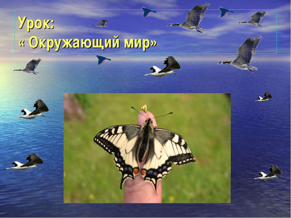 Окружающий мир - Учебники, Презентации и Подготовка к Экзаменам для Школьников на Klass-Uchebnik.com