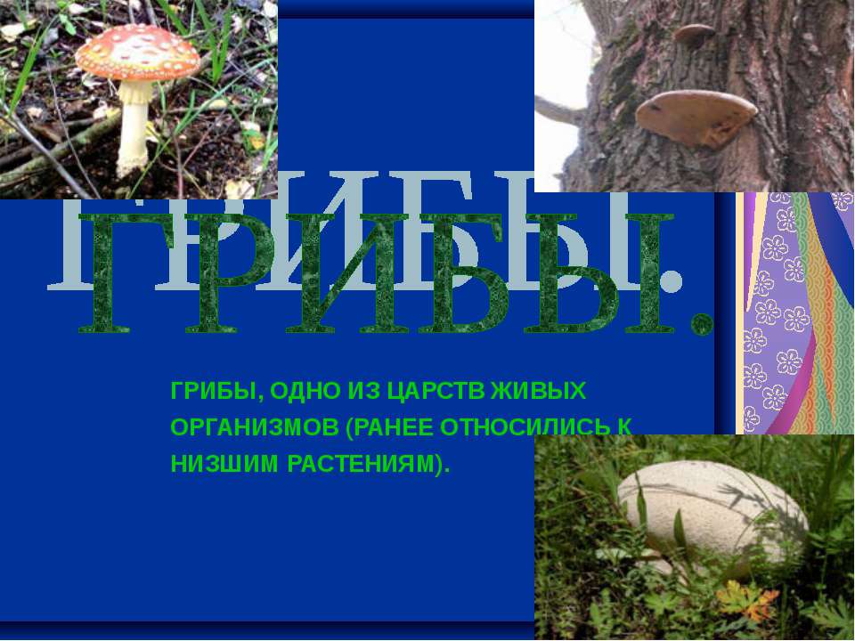 ГРИБЫ 5 класс Учебники, Презентации и Подготовка к Экзаменам для Школьников на Klass-Uchebnik.com