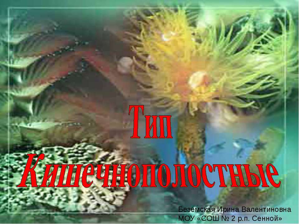 Тип Кишечнополостные - Учебники, Презентации и Подготовка к Экзаменам для Школьников на Klass-Uchebnik.com