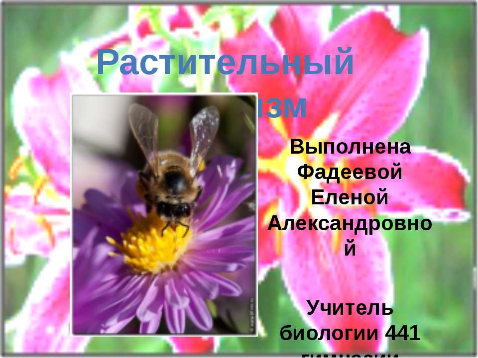 Растительный организм - Учебники, Презентации и Подготовка к Экзаменам для Школьников на Klass-Uchebnik.com
