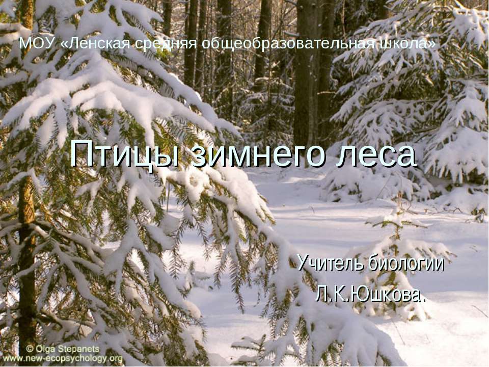 Птицы зимнего леса Учебники, Презентации и Подготовка к Экзаменам для Школьников на Klass-Uchebnik.com