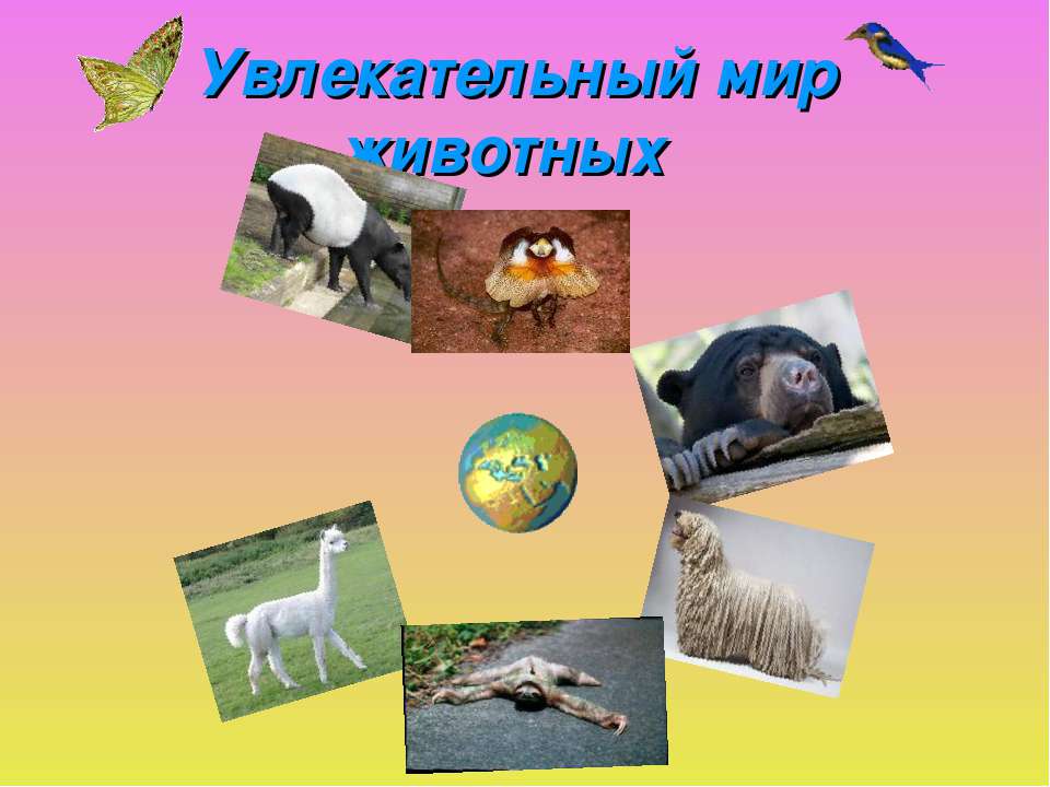 Увлекательный мир животных Учебники, Презентации и Подготовка к Экзаменам для Школьников на Klass-Uchebnik.com