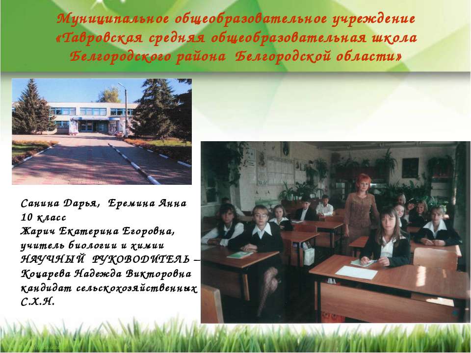 Изучение влияния подкормки на морфологические и декоративные свойства петунии гибридной Учебники, Презентации и Подготовка к Экзаменам для Школьников на Klass-Uchebnik.com