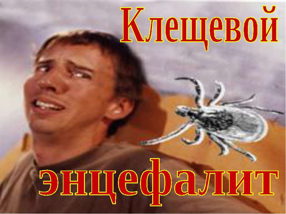 Клещевой энцефалит Учебники, Презентации и Подготовка к Экзаменам для Школьников на Klass-Uchebnik.com