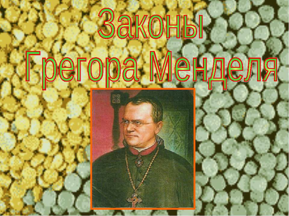 Законы Грегора Менделя - Учебники, Презентации и Подготовка к Экзаменам для Школьников на Klass-Uchebnik.com