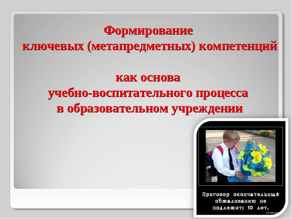 Формирование ключевых (метапредметных) компетенций как основа учебно-воспитательного процесса в образовательном учреждении - Учебники, Презентации и Подготовка к Экзаменам для Школьников на Klass-Uchebnik.com