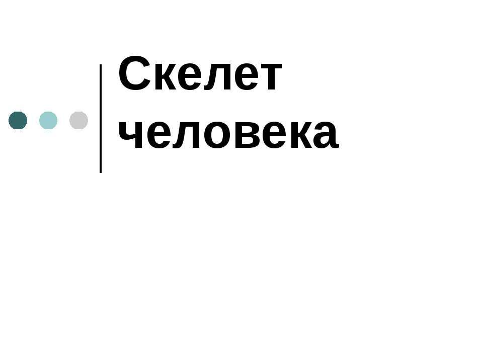 Скелет человека 8 класс Учебники, Презентации и Подготовка к Экзаменам для Школьников на Klass-Uchebnik.com