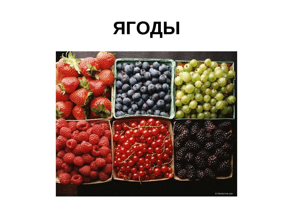 Ягоды Учебники, Презентации и Подготовка к Экзаменам для Школьников на Klass-Uchebnik.com