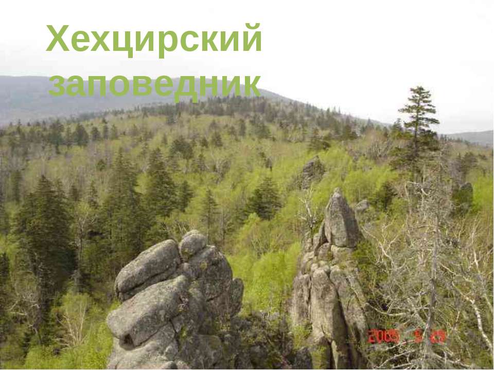 Хехцирский заповедник Учебники, Презентации и Подготовка к Экзаменам для Школьников на Klass-Uchebnik.com