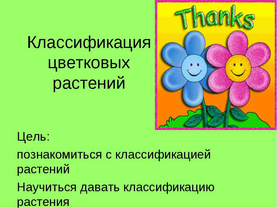 Классификация цветковых растений - Учебники, Презентации и Подготовка к Экзаменам для Школьников на Klass-Uchebnik.com