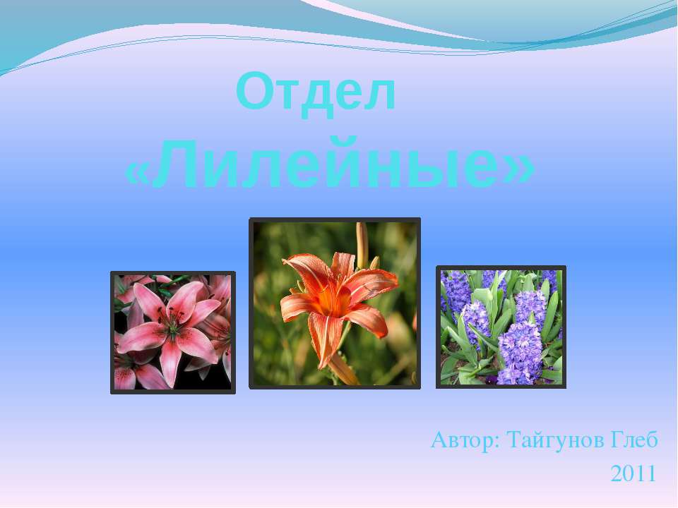 Отдел «Лилейные» Учебники, Презентации и Подготовка к Экзаменам для Школьников на Klass-Uchebnik.com