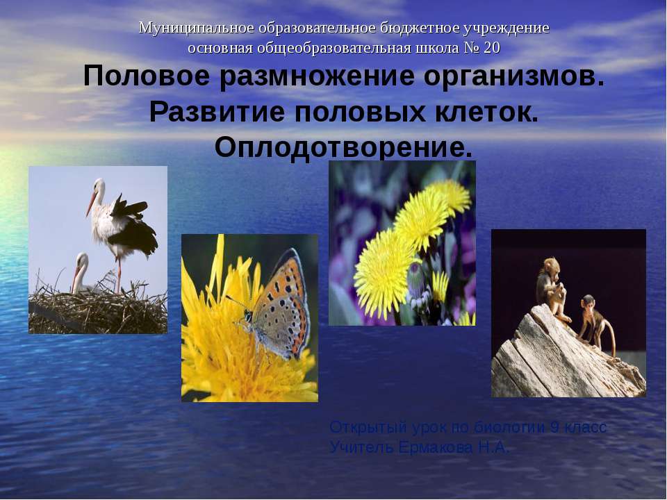 Половое размножение организмов. Развитие половых клеток. Оплодотворение - Учебники, Презентации и Подготовка к Экзаменам для Школьников на Klass-Uchebnik.com