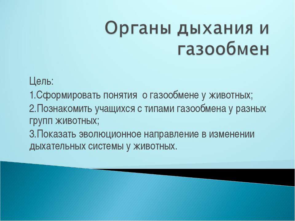 Органы дыхания и газообмен - Учебники, Презентации и Подготовка к Экзаменам для Школьников на Klass-Uchebnik.com