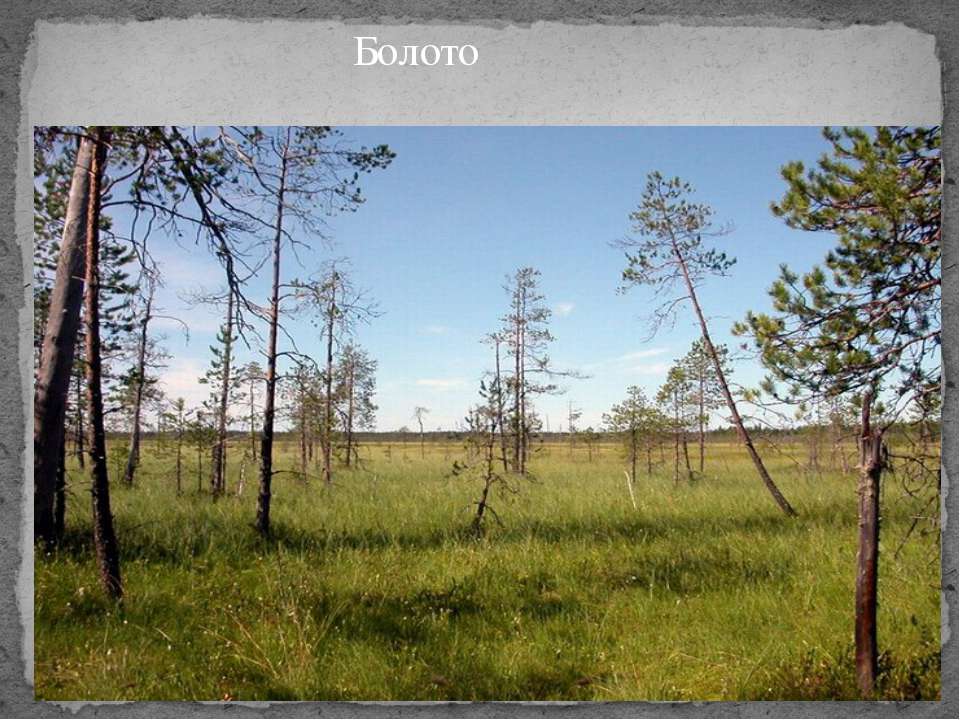 Болото Учебники, Презентации и Подготовка к Экзаменам для Школьников на Klass-Uchebnik.com