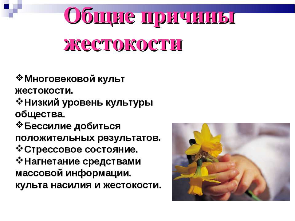 Общие причины жестокости - Учебники, Презентации и Подготовка к Экзаменам для Школьников на Klass-Uchebnik.com