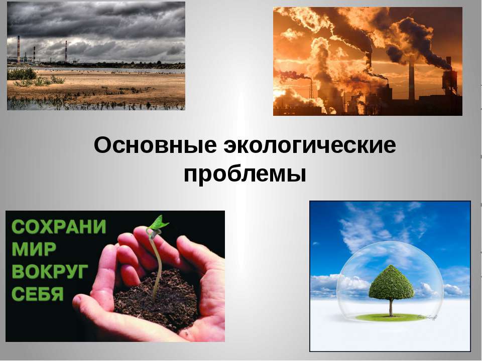 Основные экологические проблемы - Учебники, Презентации и Подготовка к Экзаменам для Школьников на Klass-Uchebnik.com