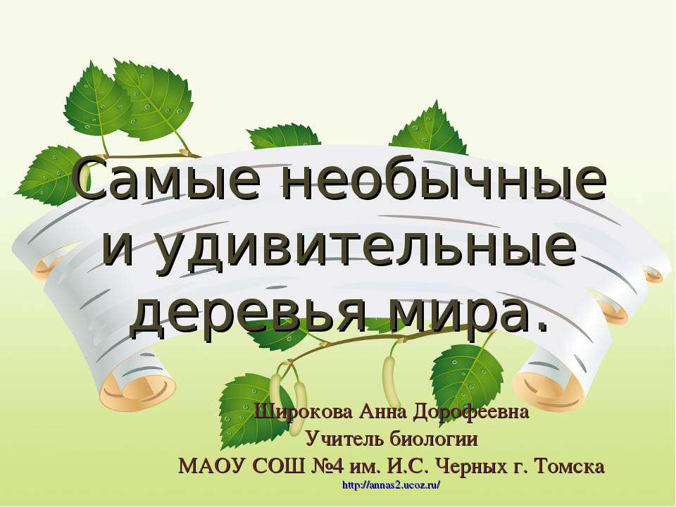Самые удивительные и необычные деревья мира Учебники, Презентации и Подготовка к Экзаменам для Школьников на Klass-Uchebnik.com