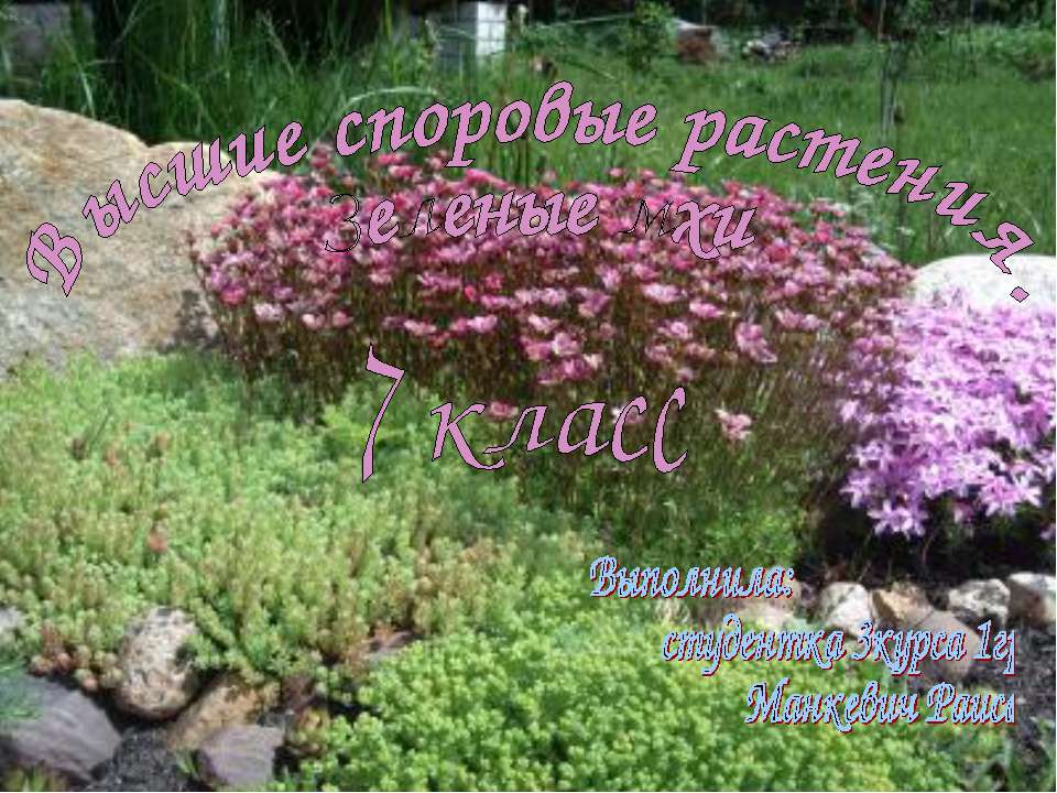 Высшие споровые растения. Зеленые мхи Учебники, Презентации и Подготовка к Экзаменам для Школьников на Klass-Uchebnik.com