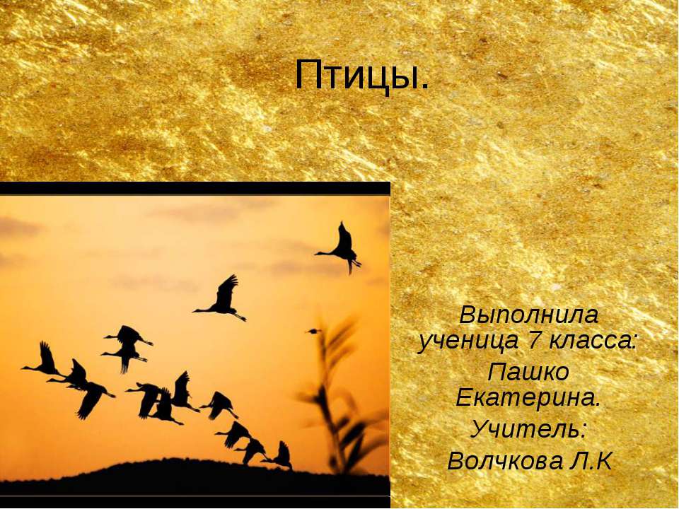 Птицы. Учебники, Презентации и Подготовка к Экзаменам для Школьников на Klass-Uchebnik.com