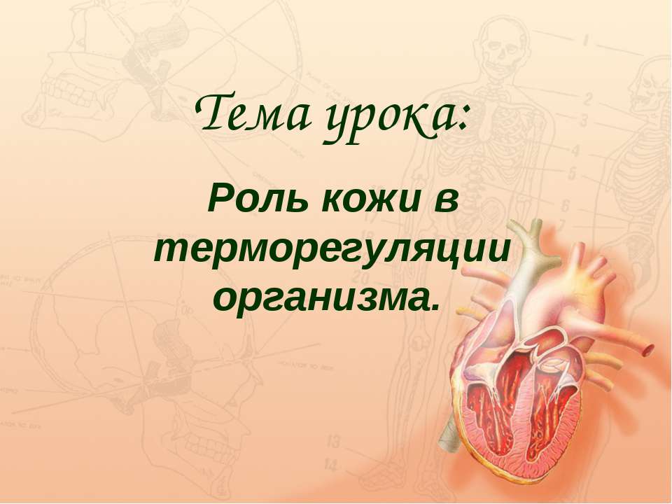 Роль кожи в терморегуляции организма - Учебники, Презентации и Подготовка к Экзаменам для Школьников на Klass-Uchebnik.com