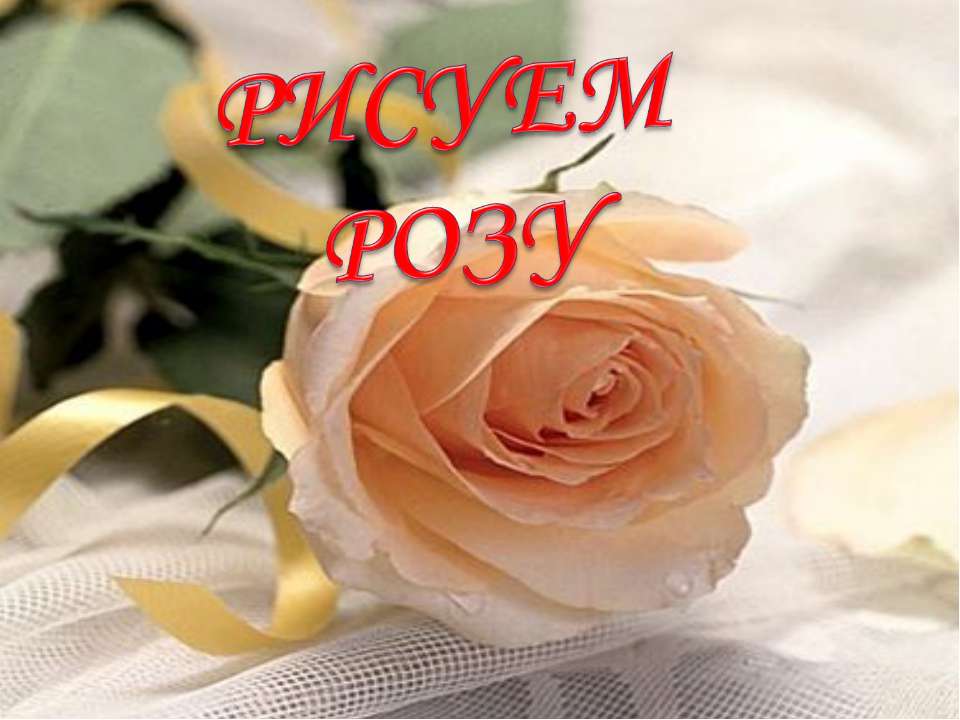 Рисуем розу Учебники, Презентации и Подготовка к Экзаменам для Школьников на Klass-Uchebnik.com