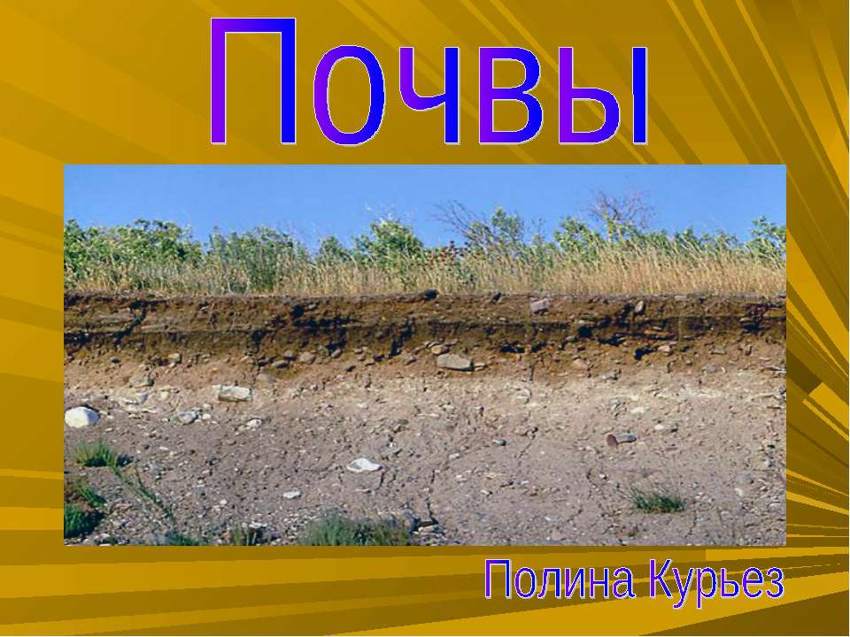 Почвы Учебники, Презентации и Подготовка к Экзаменам для Школьников на Klass-Uchebnik.com