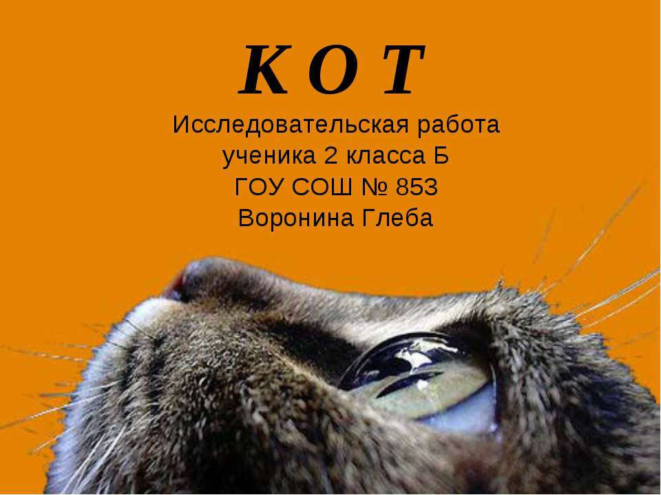 Кот Учебники, Презентации и Подготовка к Экзаменам для Школьников на Klass-Uchebnik.com