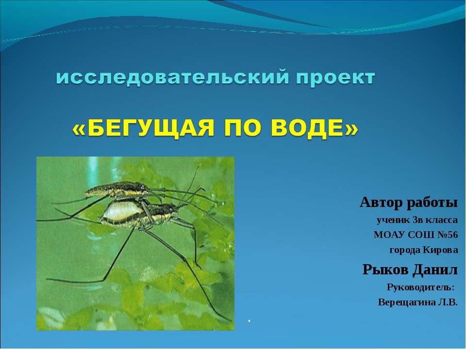 Бегущая по воде Учебники, Презентации и Подготовка к Экзаменам для Школьников на Klass-Uchebnik.com