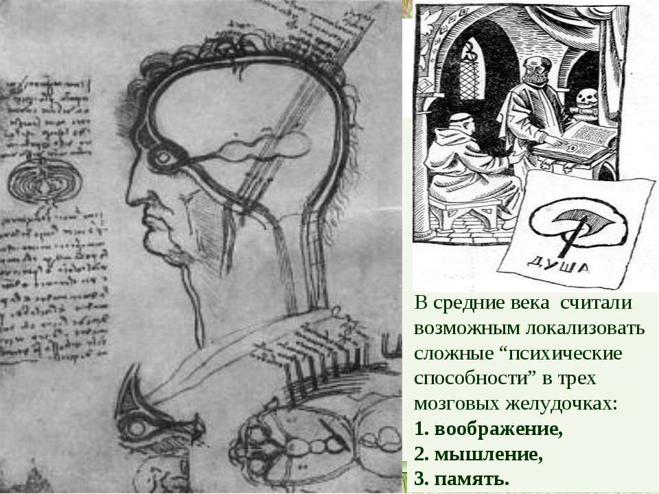 Теория А.Р. Лурия - Учебники, Презентации и Подготовка к Экзаменам для Школьников на Klass-Uchebnik.com