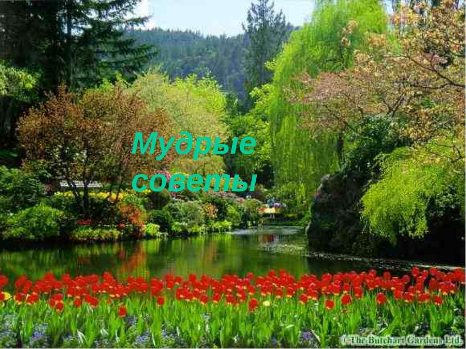 Мудрые советы Учебники, Презентации и Подготовка к Экзаменам для Школьников на Klass-Uchebnik.com